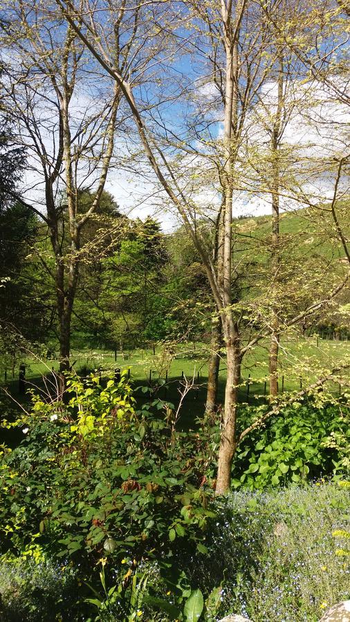 בית הארחה Manakau 	Idyllic Country Garden מראה חיצוני תמונה